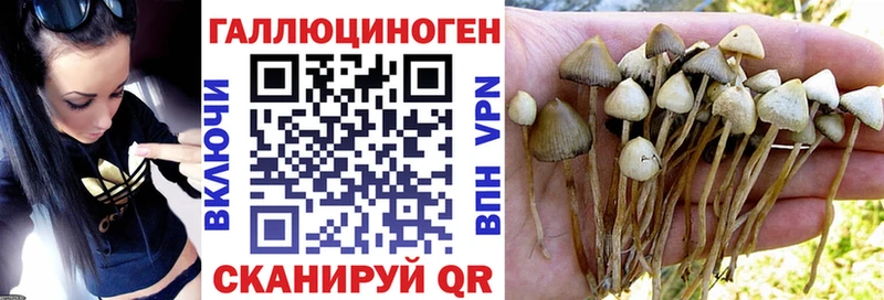 купить наркоту  блэк спрут рабочий сайт  Галлюциногенные грибы Cubensis  Нижняя Салда 